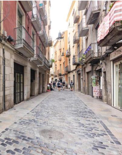 Apartment Con Encanto Y Terraza En Barri Vell De Girona, El Cul De La Lleona *