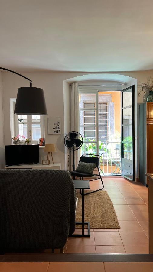 Con Encanto Y Terraza En Barri Vell De Girona, El Cul De La Lleona Apartment