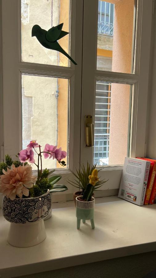 Apartment Con Encanto Y Terraza En Barri Vell De Girona, El Cul De La Lleona *